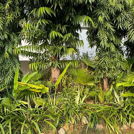 The Bougainvillea Cottage Farmstay Near Dehradun , 2 Bedroom Private Cottage Next To Fields And Orchards With Hill Views Buitenkant foto