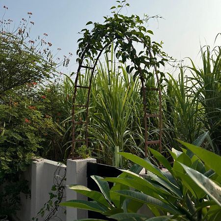 The Bougainvillea Cottage Farmstay Near Dehradun , 2 Bedroom Private Cottage Next To Fields And Orchards With Hill Views Buitenkant foto