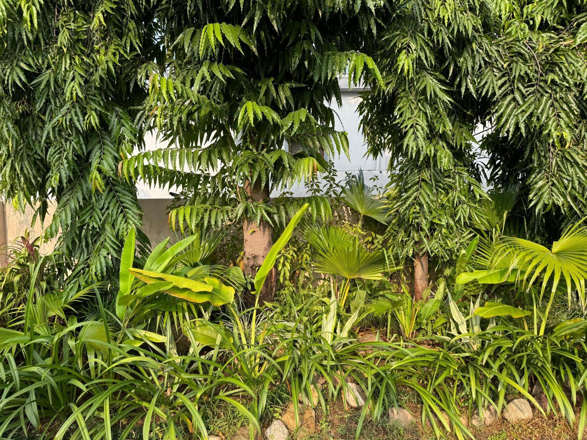 The Bougainvillea Cottage Farmstay Near Dehradun , 2 Bedroom Private Cottage Next To Fields And Orchards With Hill Views Buitenkant foto